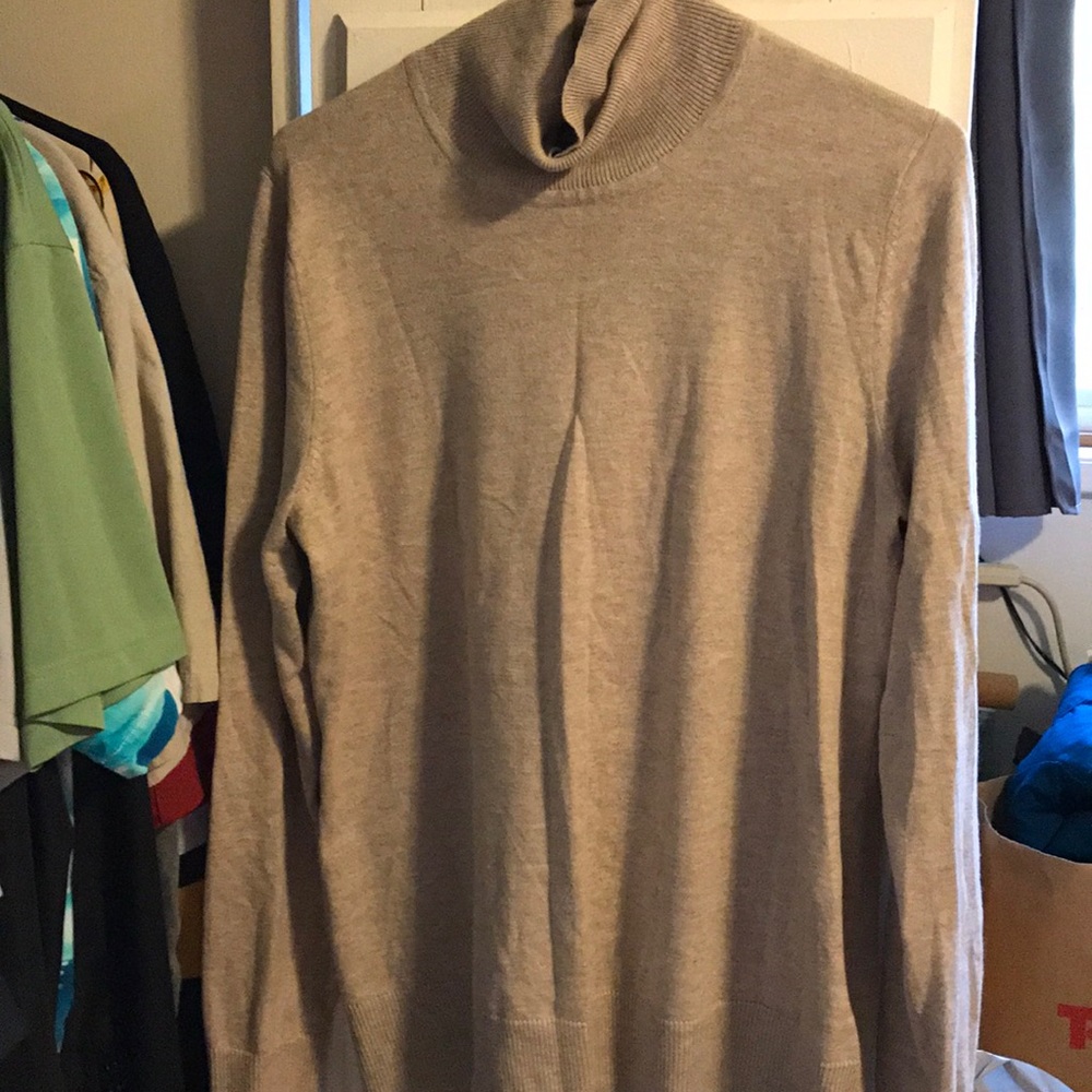 Beige turtleneck; size large. Eddie Bauer.